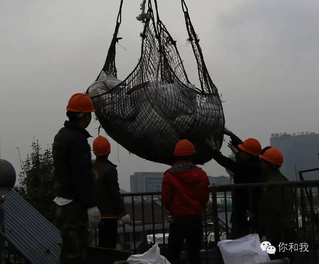 彩钢房高层楼顶建什么好_高层楼顶建彩钢房_彩钢房高层楼顶建什么