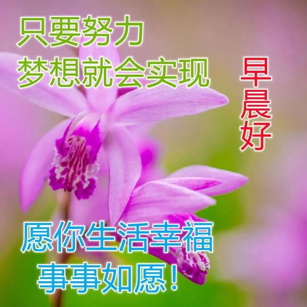 心灵鸡汤心情好的句子_鸡汤心灵情感_与情绪有关的心灵鸡汤