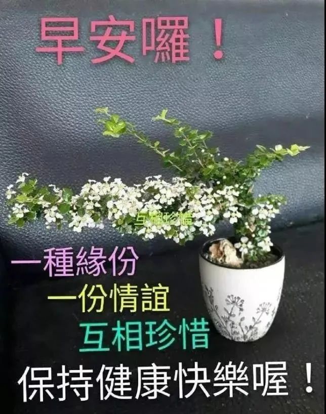 鸡汤心灵情感_心灵鸡汤心情好的句子_与情绪有关的心灵鸡汤