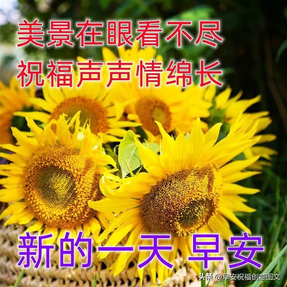 唯美鸡汤心灵图片大全_心灵鸡汤唯美图片_唯美鸡汤心灵图片高清