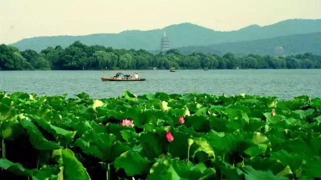 卤三国加盟电话_卤三国加盟地址_卤三国加盟电话多少