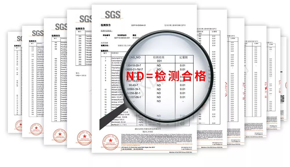 烟台苹果的营养价值_烟台苹果的好处_烟台苹果的营养