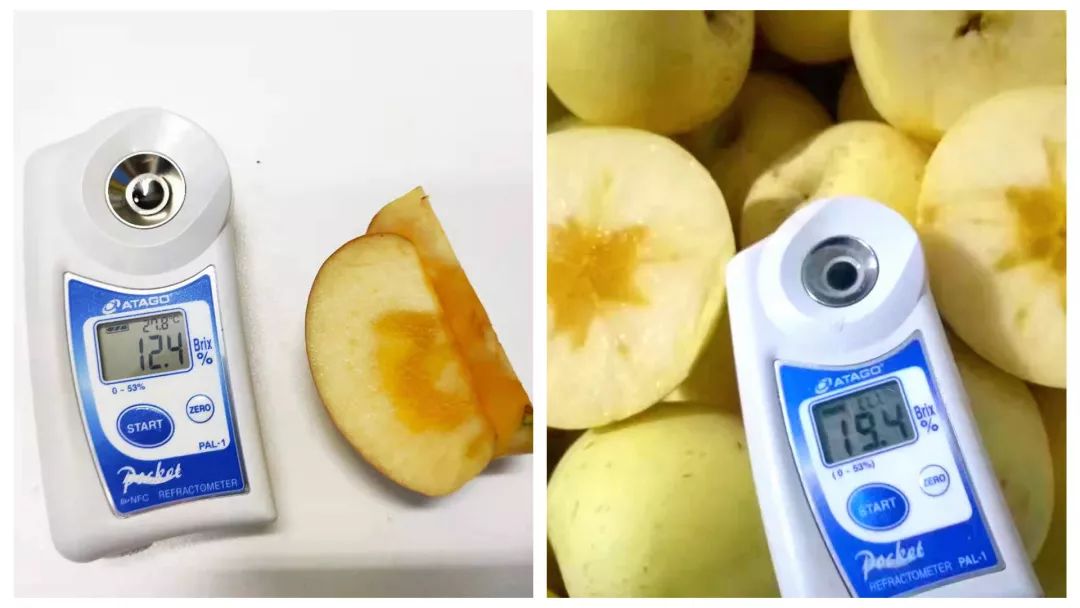 烟台苹果的营养价值_烟台苹果的好处_烟台苹果的营养
