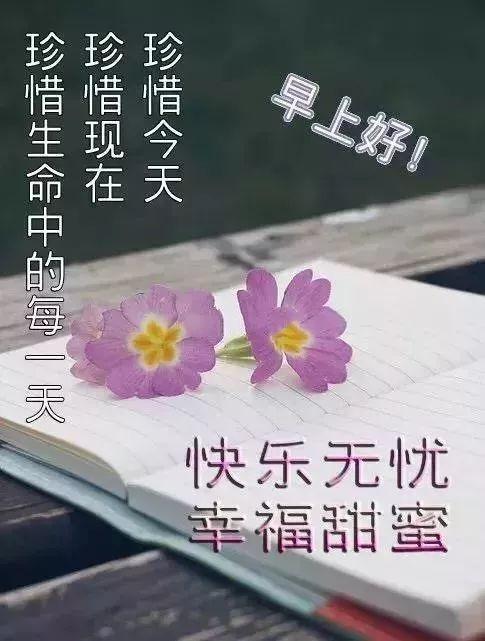 关于梦的心灵鸡汤_《心灵鸡汤》_心灵鸡汤含义