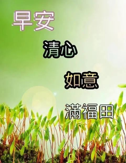 心灵鸡汤一句话_心灵鸡汤的话_心灵鸡汤怎么说