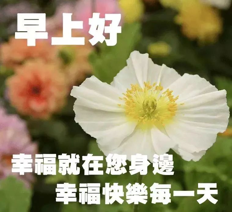 励志的心灵鸡汤文章_励志鸡汤心灵文章摘抄_励志鸡汤文章精选