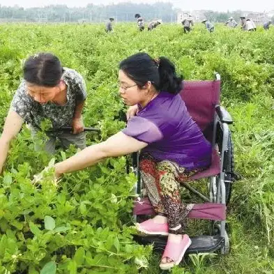 烟台残疾人招聘信息_烟台招聘残疾人_烟台残疾招聘人员公告