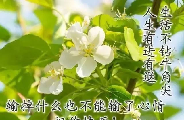 心灵鸡汤的图片带字_心灵鸡汤照片_鸡汤心灵语录手写图片