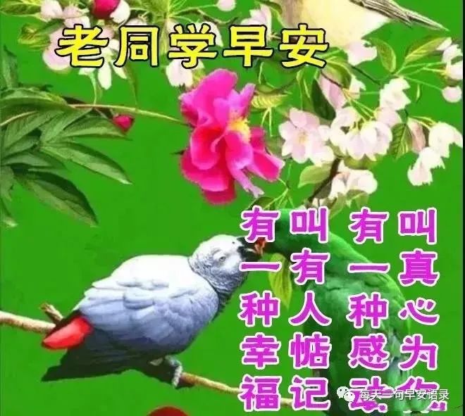 鸡汤心灵语录手写图片_心灵鸡汤照片_心灵鸡汤的图片带字