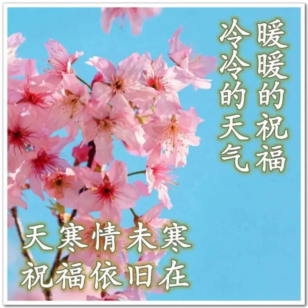 鸡汤早晨励志句子_心灵鸡汤晨语祝福_鸡汤心灵早晨