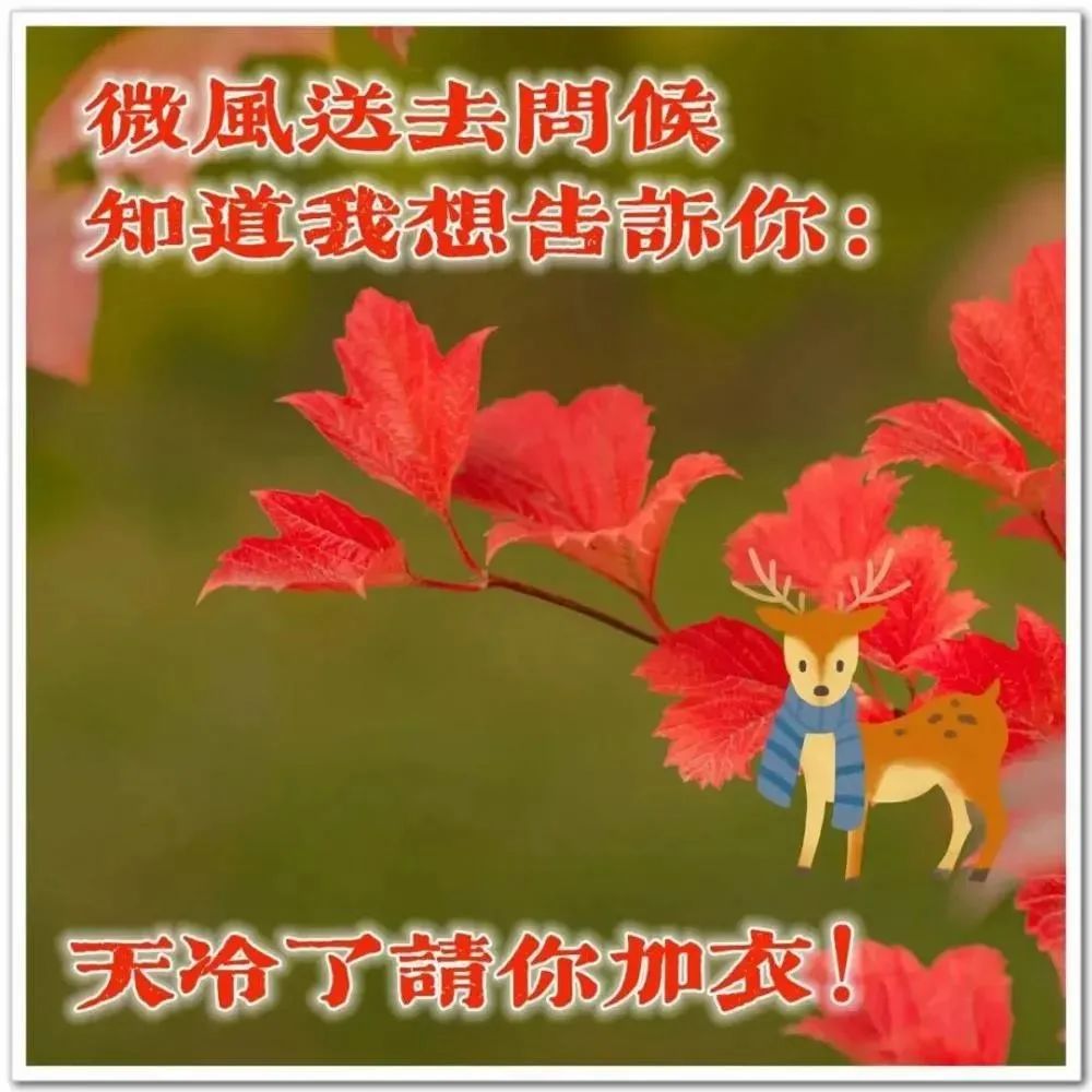 心灵鸡汤晨语祝福_鸡汤早晨励志句子_鸡汤心灵早晨