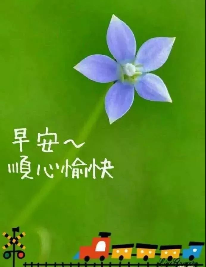 鸡汤早晨励志句子_鸡汤心灵早晨_心灵鸡汤晨语祝福