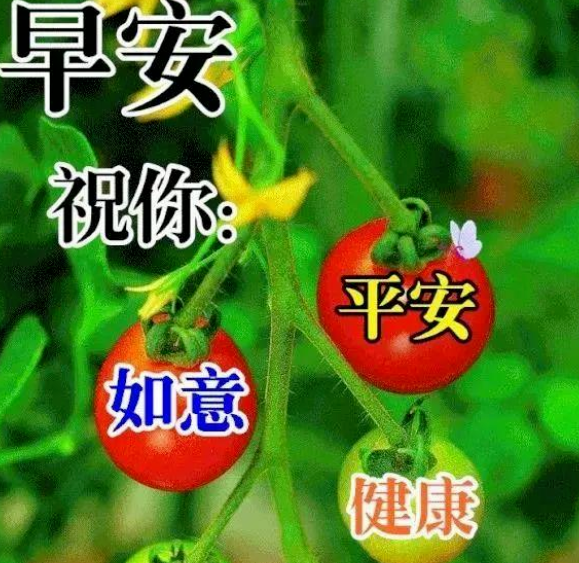 心灵鸡汤阳光_阳光心灵鸡汤_心灵鸡汤阳光的句子