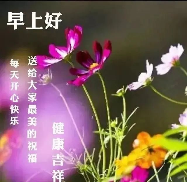 鸡汤文案早安_鸡汤早晨励志句子_心灵鸡汤晨语祝福