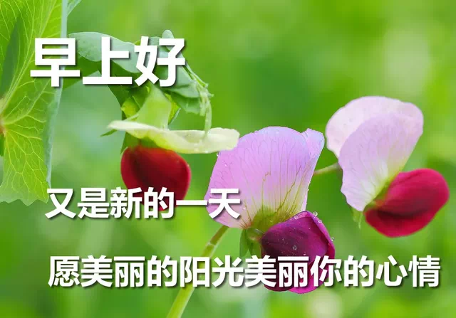 鸡汤早晨励志句子_鸡汤文案早安_心灵鸡汤晨语祝福