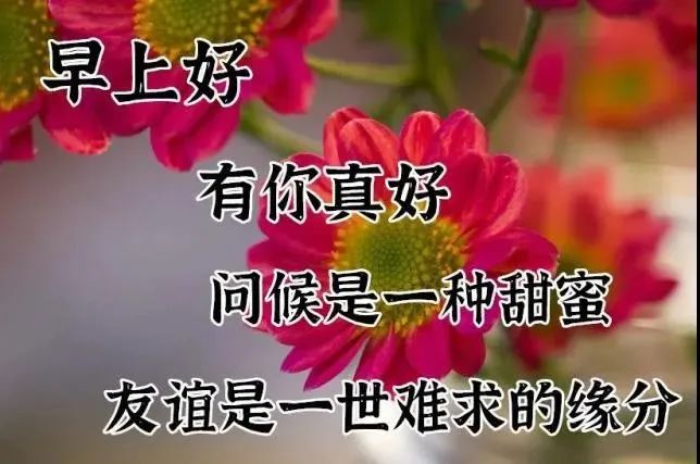 鸡汤心灵啥意思_心灵鸡汤全集_鸡汤心灵