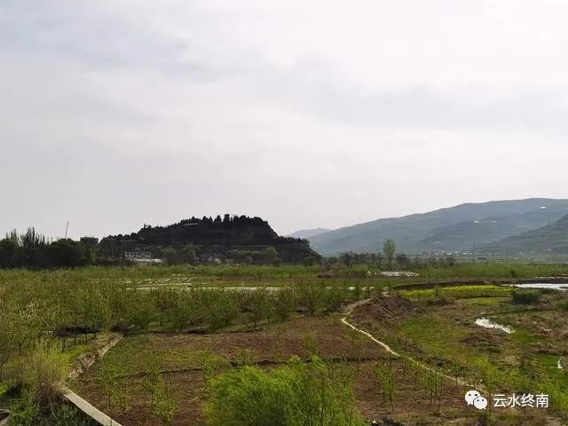 三国祁山出奇策的人是谁_三国祁山出奇策_三国六出祁山