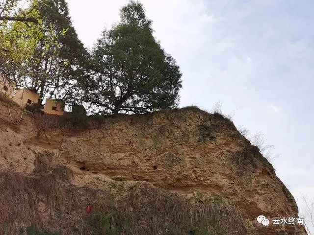 三国六出祁山_三国祁山出奇策的人是谁_三国祁山出奇策