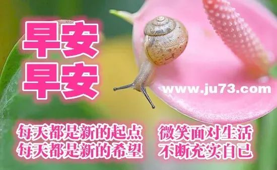 分享心灵鸡汤的好处_分享心灵鸡汤的感想_心灵鸡汤分享