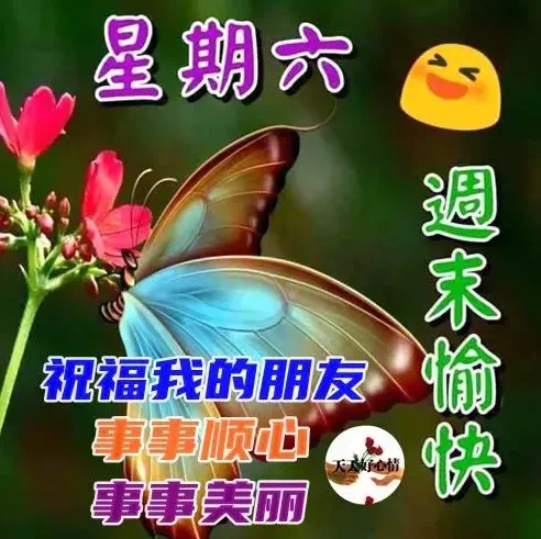 励志语录鸡汤短句_励志心灵鸡汤长句_励志心灵鸡汤经典语录