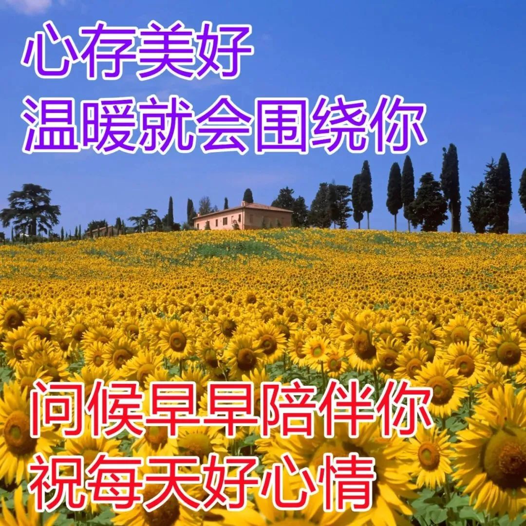 坚强心灵鸡汤语录_坚强的心灵鸡汤_心灵鸡汤坚强的句子