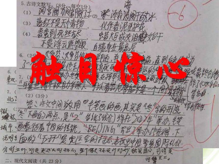 《心灵鸡汤》读后感600字_读《心灵鸡汤》有感作文_小学生心灵鸡汤读后感