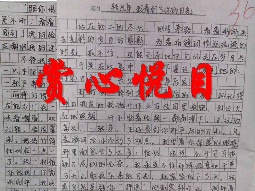 《心灵鸡汤》读后感600字_读《心灵鸡汤》有感作文_小学生心灵鸡汤读后感