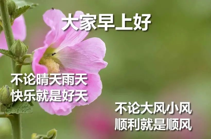 心灵鸡汤语录图片带字_鸡汤语录图片纯文字_鸡汤心灵语录手写图片