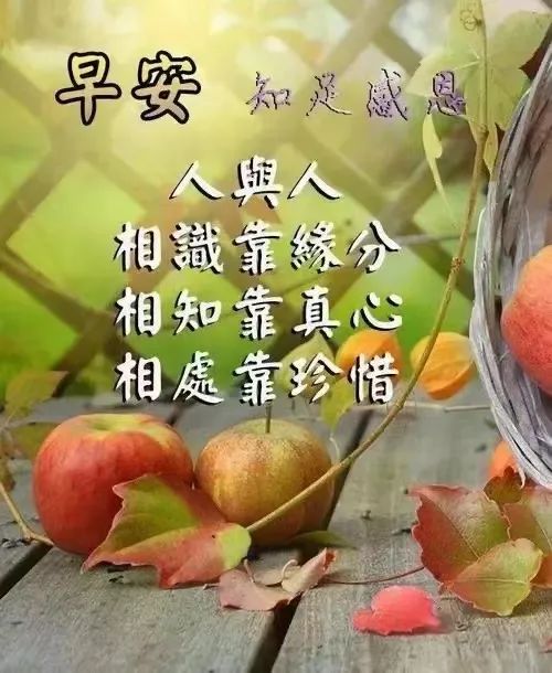 鸡汤语录图片纯文字_心灵鸡汤语录图片带字_鸡汤心灵语录手写图片