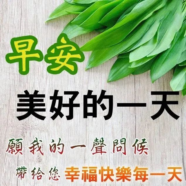 心灵鸡汤语录图片带字_鸡汤语录图片纯文字_走心的鸡汤语录