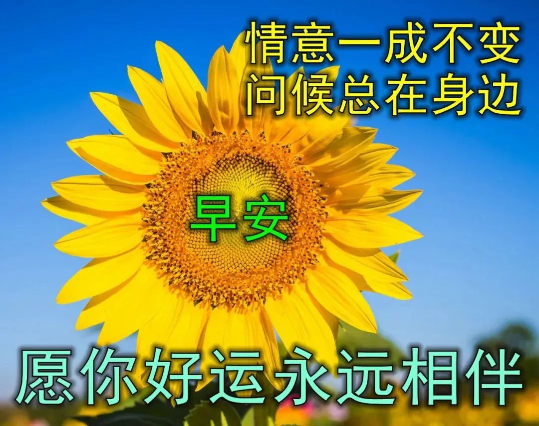 励志心灵鸡汤短文_励志鸡汤心灵文章摘抄_励志心灵鸡汤文章