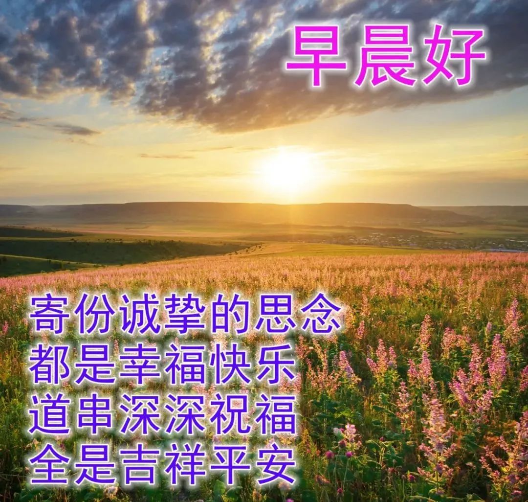 励志心灵鸡汤短文_励志心灵鸡汤文章_励志鸡汤心灵文章摘抄