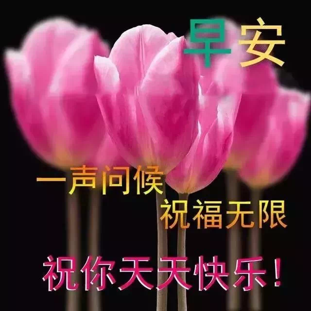 励志鸡汤心灵鸡汤文案_特别励志的心灵鸡汤_励志心灵鸡汤短句