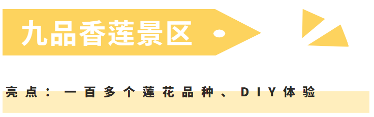 特种兵穿越之三国_特种兵穿越三国_特种兵穿越到三国的小说排行榜