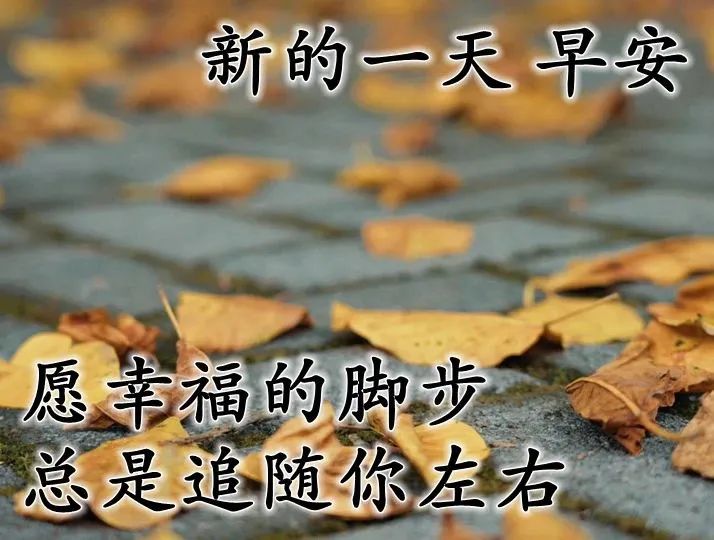 经典鸡汤能量语录_心灵鸡汤语录正能量_正能量心灵鸡汤经典语录