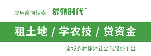 在宅基地建彩钢房办什么手续_建彩钢房需要资质吗_彩钢房手续办基地建宅怎么办