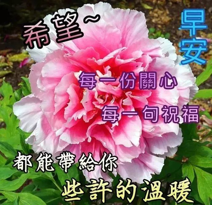 能量鸡汤词语_正能量心灵鸡汤图片_正能量鸡汤