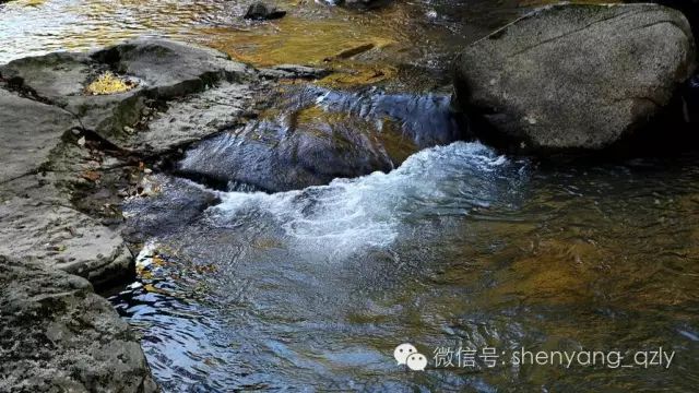 沈阳彩钢房厂电话号码_沈阳彩钢房_沈阳市彩钢房