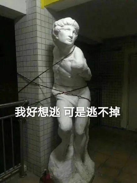 心灵鸡汤经典语录搞笑另类_心灵鸡汤 奇葩说_奇葩鸡汤心灵说的是什么