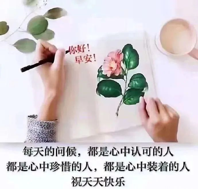 心灵鸡汤工作经典语录励志_工作正能量心灵鸡汤_心灵鸡汤和正能量