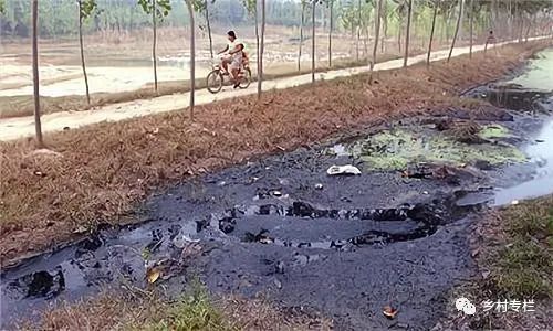 耕地里建彩钢房标准_耕地上建彩钢房需要什么手续_耕地上建彩钢房算违建吗