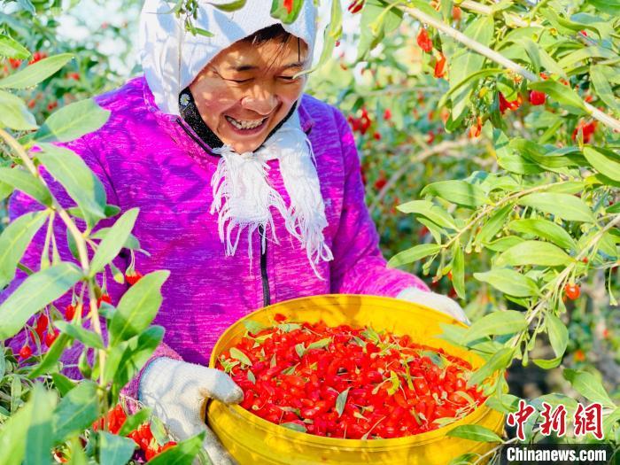 彩钢房人工费怎么算_彩钢房平方怎么算_彩钢房包工怎么算平方