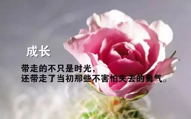 心灵鸡汤照片_鸡汤心灵简短_鸡汤心灵配图