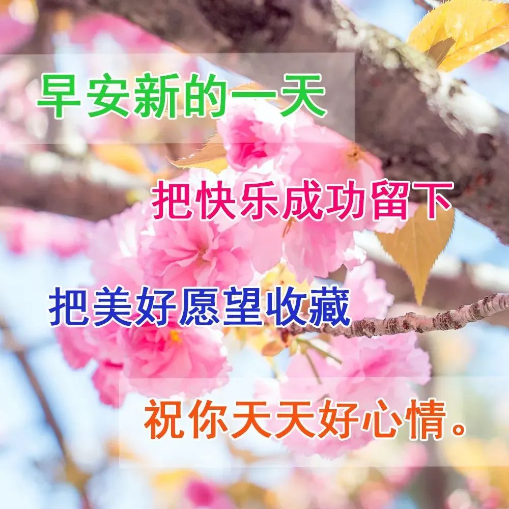 励志心灵鸡汤句子_励志的心灵鸡汤_励志心灵鸡汤短句