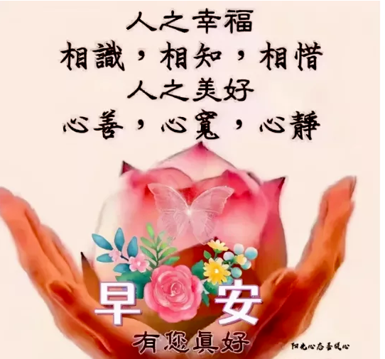 励志的心灵鸡汤_励志心灵鸡汤句子_励志心灵鸡汤短句