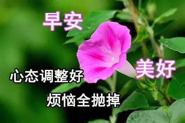 励志心灵鸡汤短句_励志心灵鸡汤句子_励志的心灵鸡汤