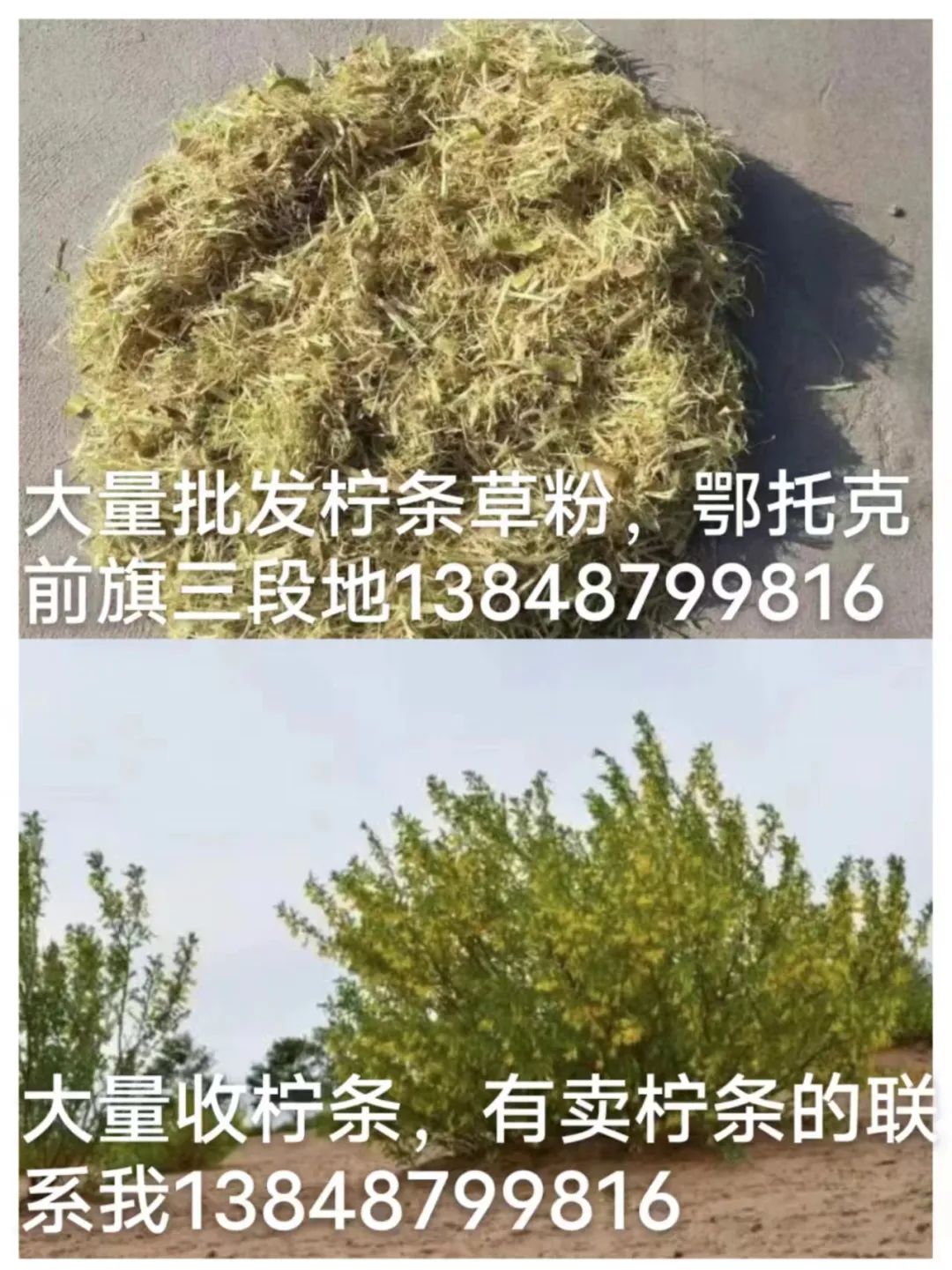 自建彩钢房手续_在自己家院子盖彩钢房需要什么手续_农村盖彩钢房用审批吗