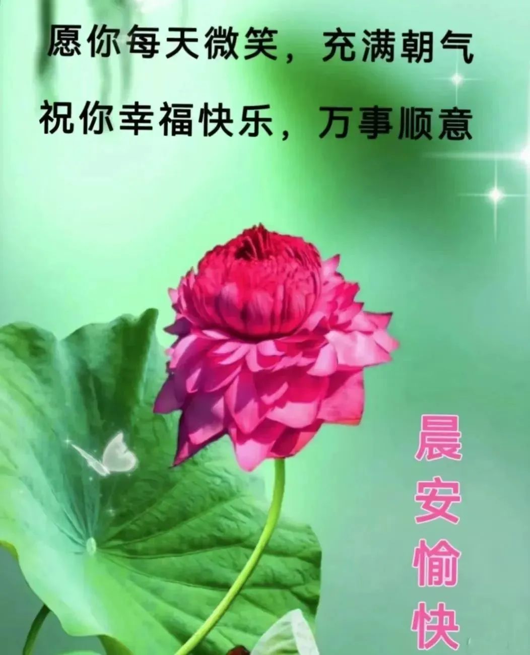 心灵鸡汤年轻人_心灵鸡汤青春励志语录_因为年轻的心灵鸡汤