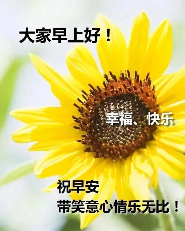 心灵鸡汤年轻人_因为年轻的心灵鸡汤_心灵鸡汤青春励志语录