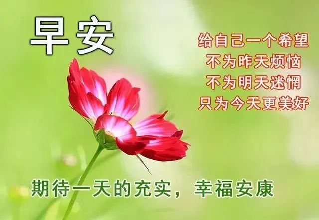 心灵鸡汤年轻人_心灵鸡汤青春励志语录_因为年轻的心灵鸡汤